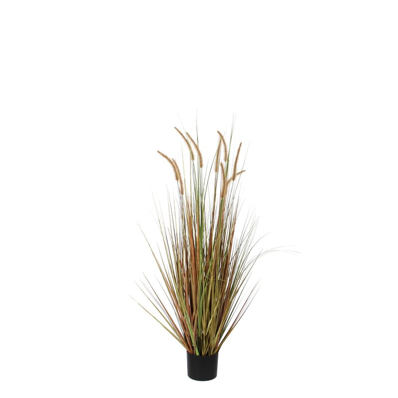 The Seasonal Aisle Artificial Pampas Grass in Pot Wayfair.co.uk